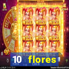 10 flores silvestres desbravadores